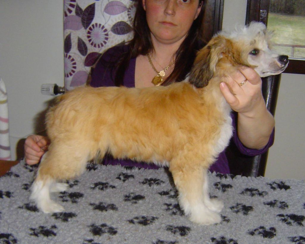 Absolute Magic's Eh I'm Here