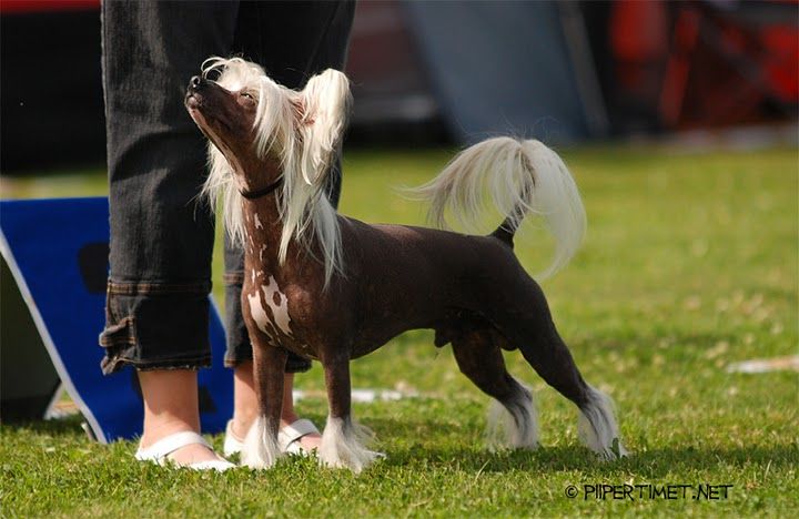 Joyway's All Over Again