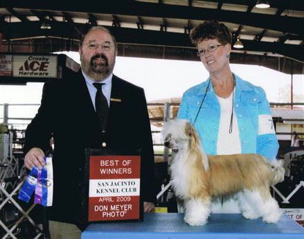 Baldpark's Starbuckz Obsession