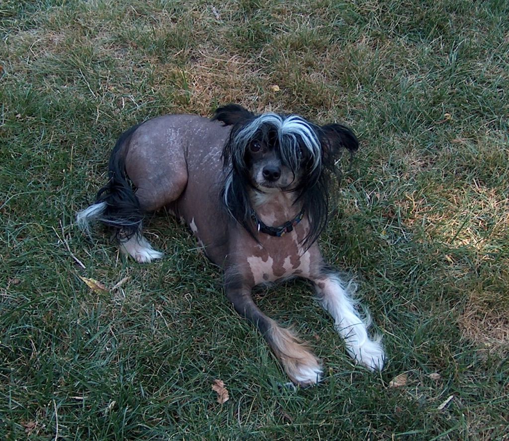 Leanonme's Hugs And Kisses