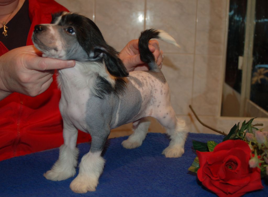 De La Mahafu's Let's Happy