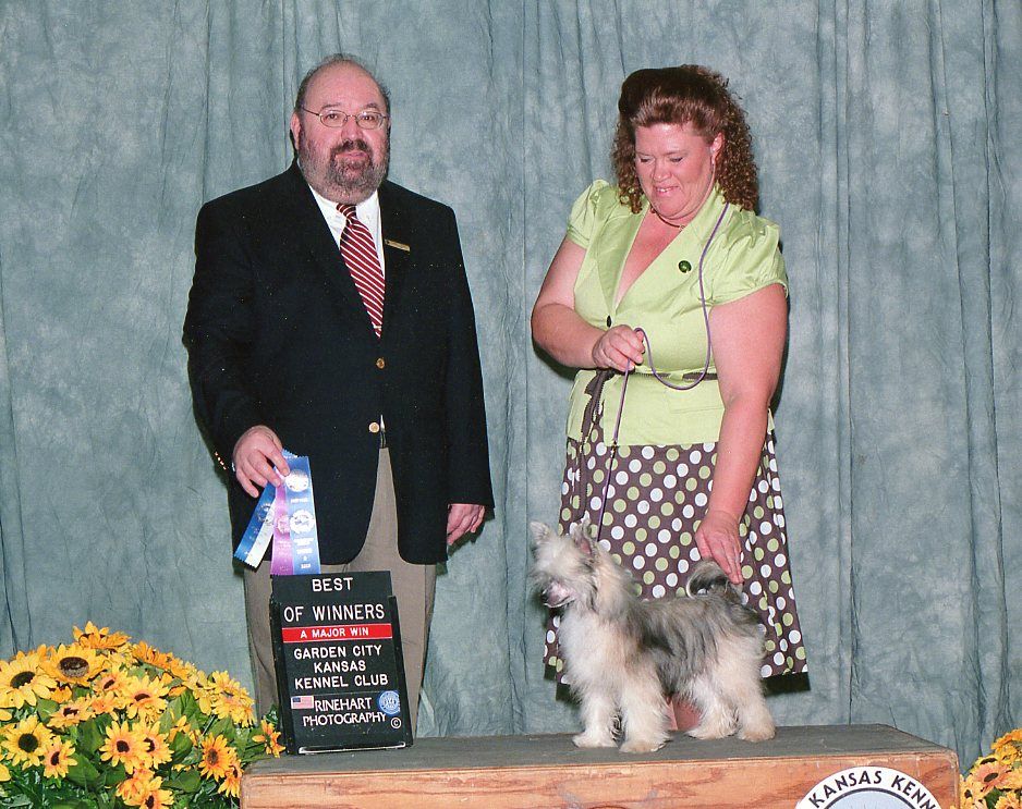 Delende Under Paris Skies