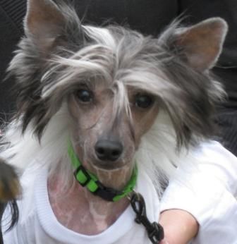 Juvani's King of Diamonds