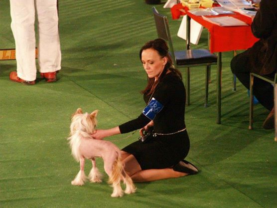 Anabella La Perla Chinese Butterfly