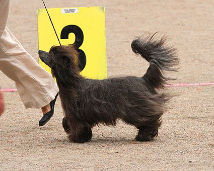 Kuminaaman Hard Rock Cafe