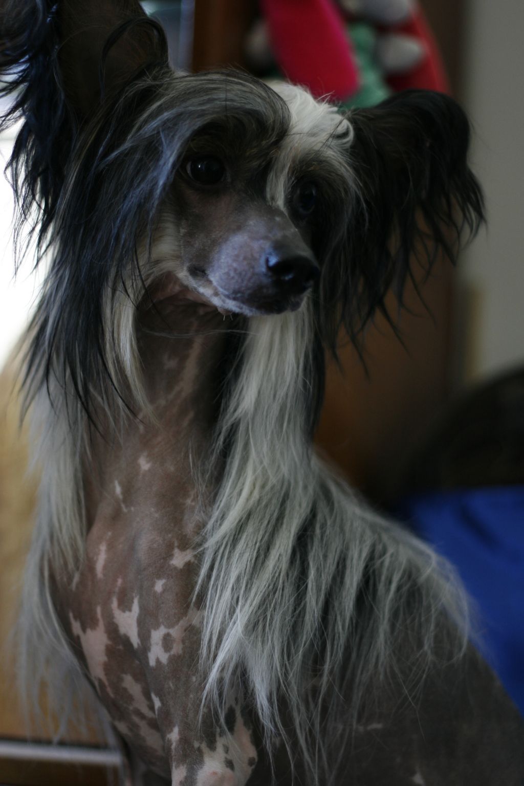 Rouber Balt Lasa-Vegas