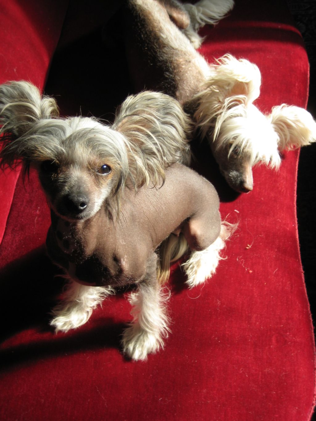 Lohamras Just A Miracle