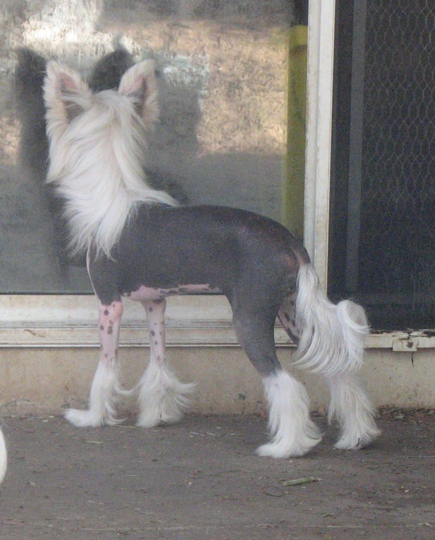 Crest-Vue 4ever N Ever Amen