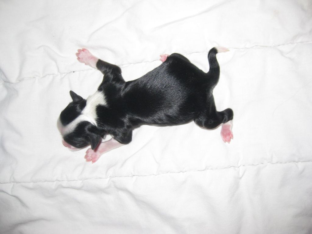 Magic'N Mystic Just Because I Can