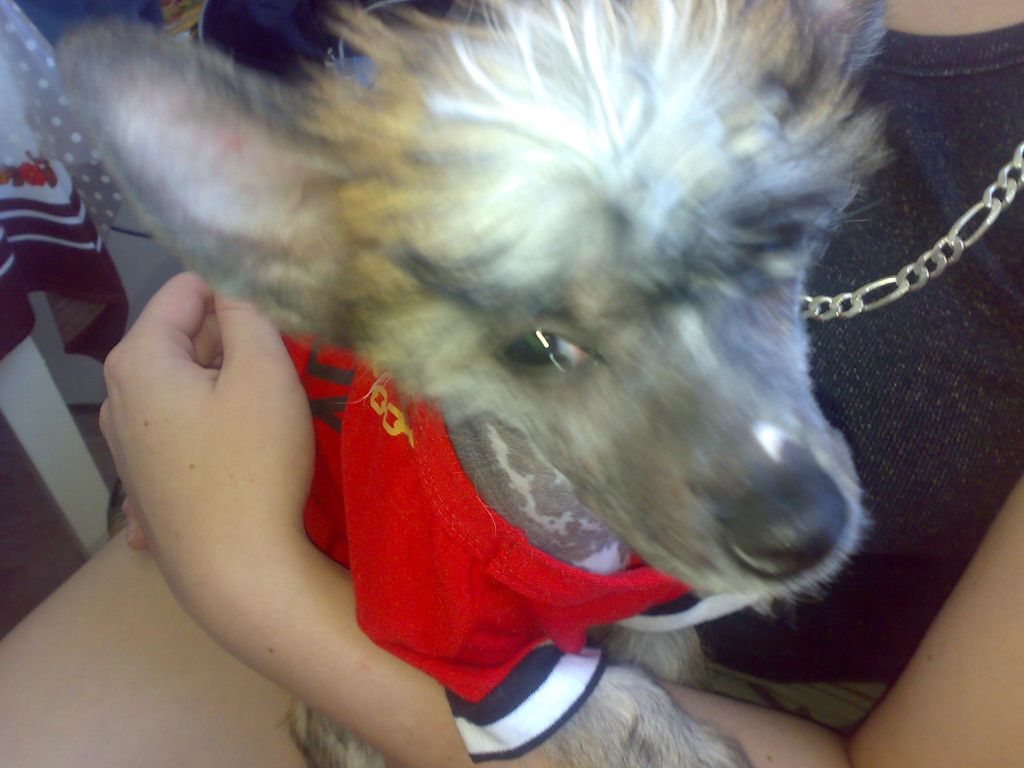 Dark Punky Magická Noc