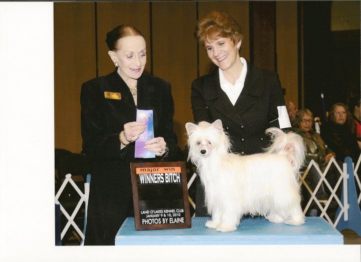 Krishna Simply Irrestible Amanda