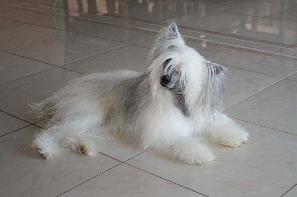 Esprit D'orient Du Coeur Des Tenebres