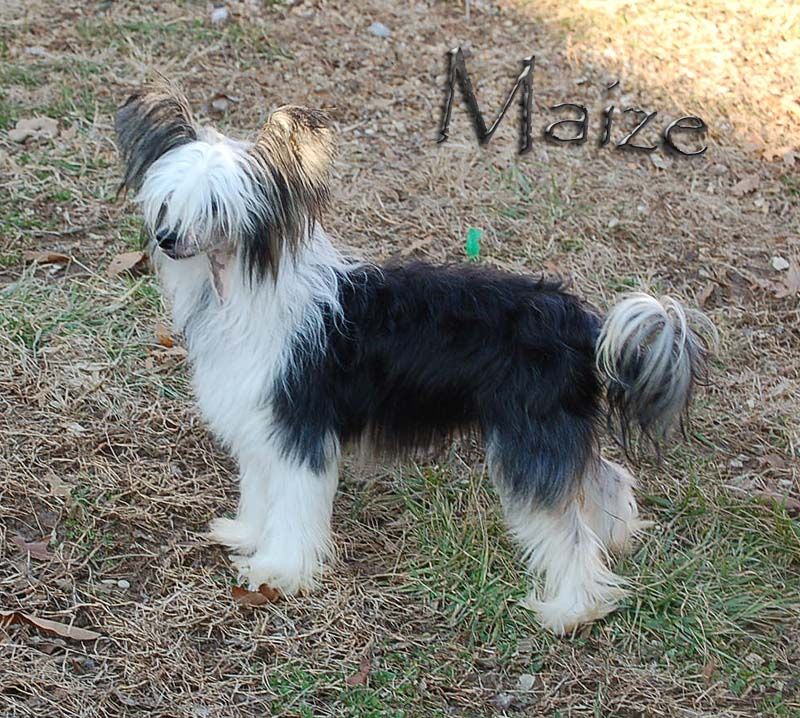 Roc N Win As Time Goes By