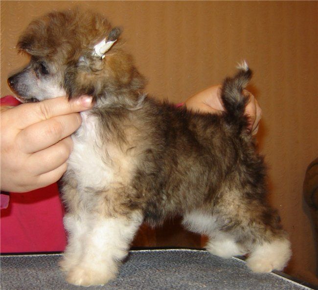 Mistika Rosso Amore Minodora