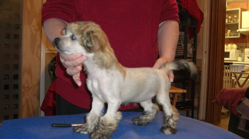 Mixkynz Wiggle When You Walk