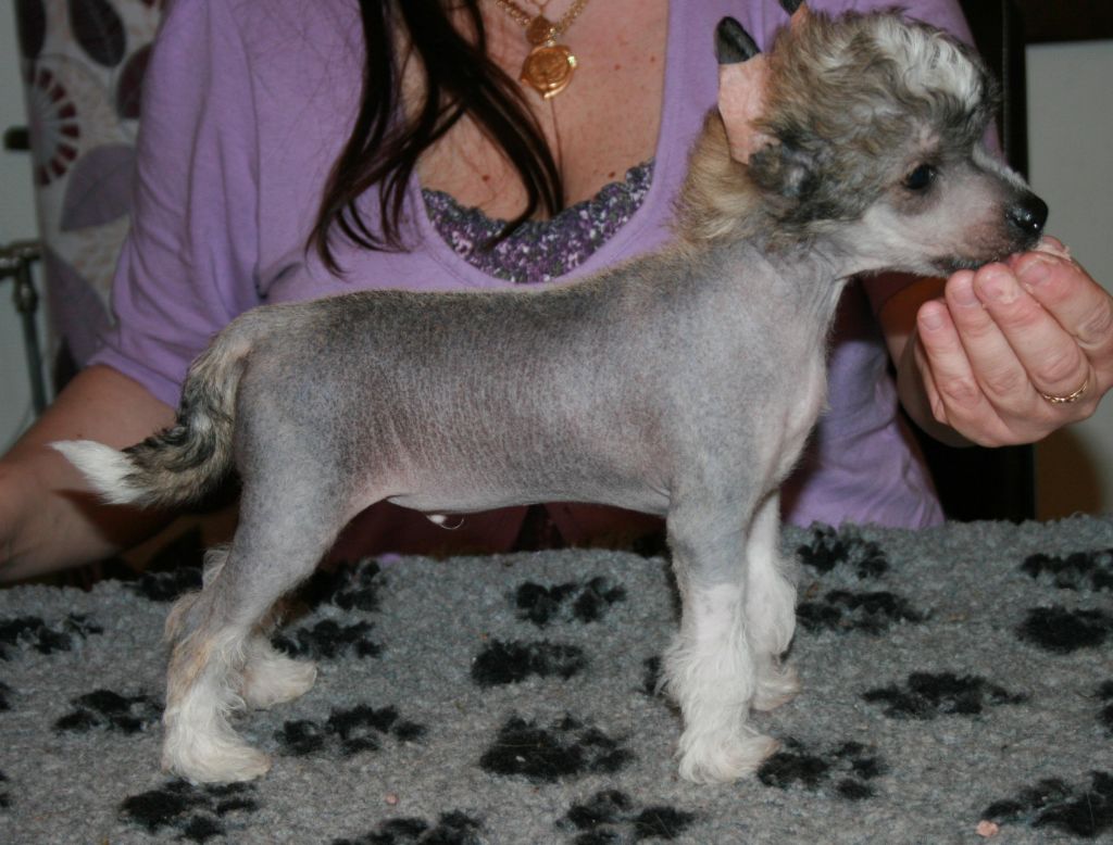 Cute and Crazy Hercules