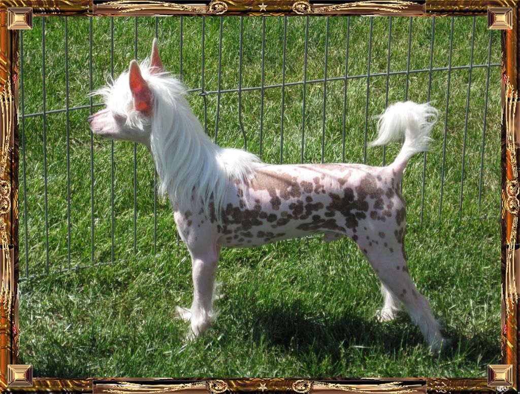 Outlaw's Bringin' Out The Big Guns