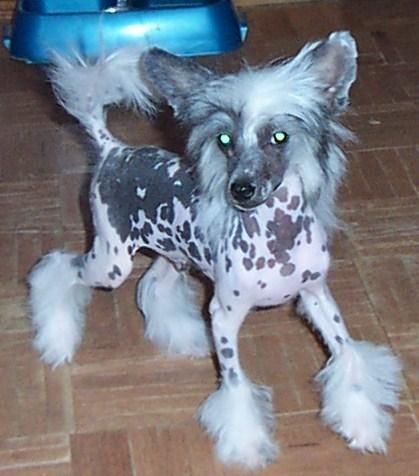 Mosaic's Southern Comfort