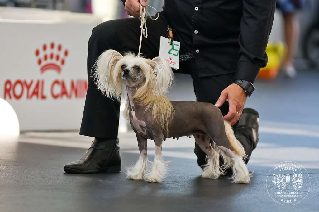 White Affair's Kissed By An Angel