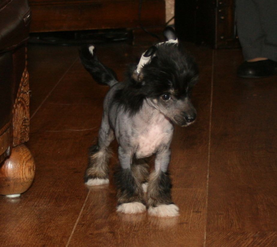 Freaky Floyd Of The Queens Club