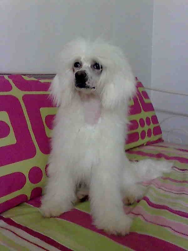 Kiikunkaakun Mitämittään