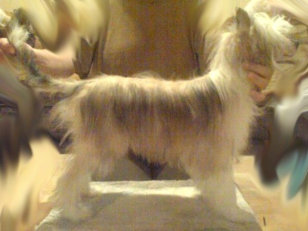 Rain Man Light Of Shin-Ra