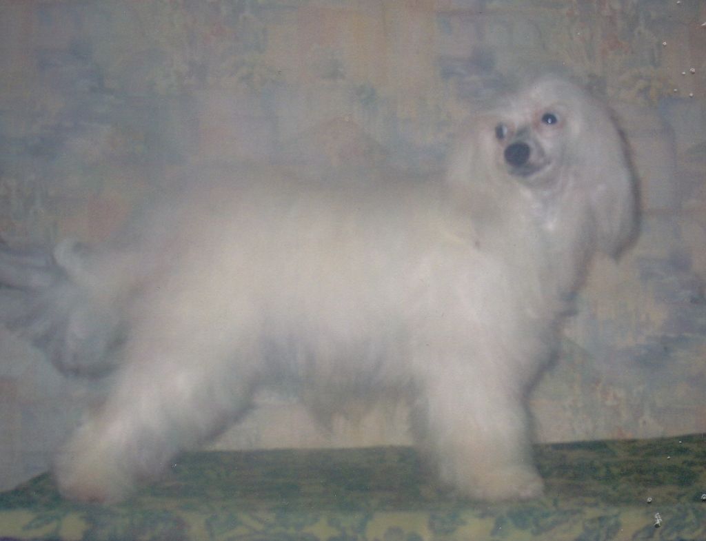 Midnight Music Snow Queen