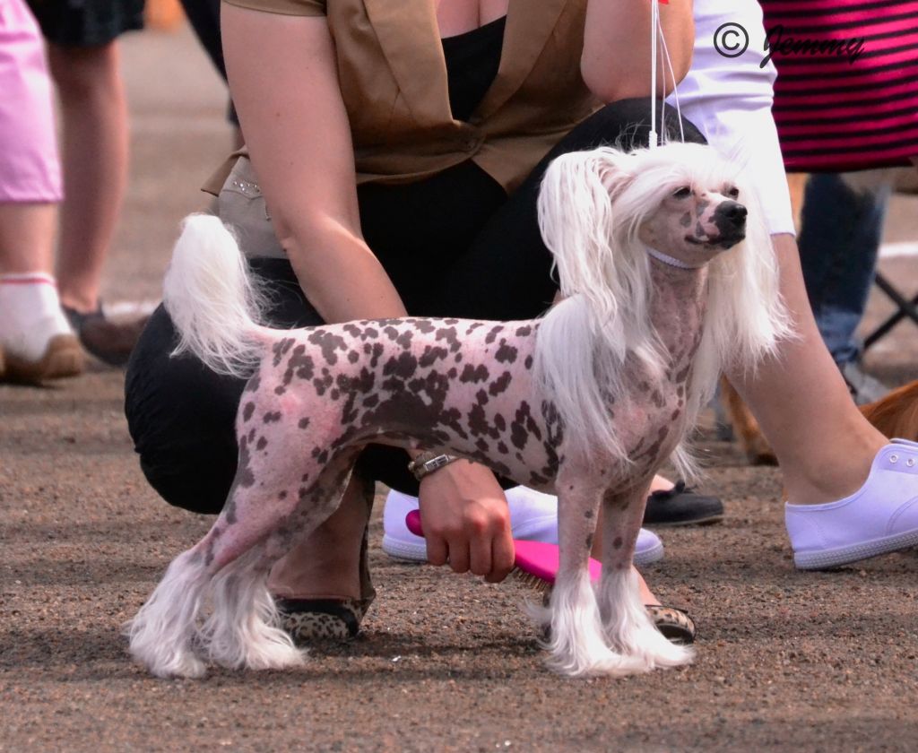 Chinese Line Chain Reaction