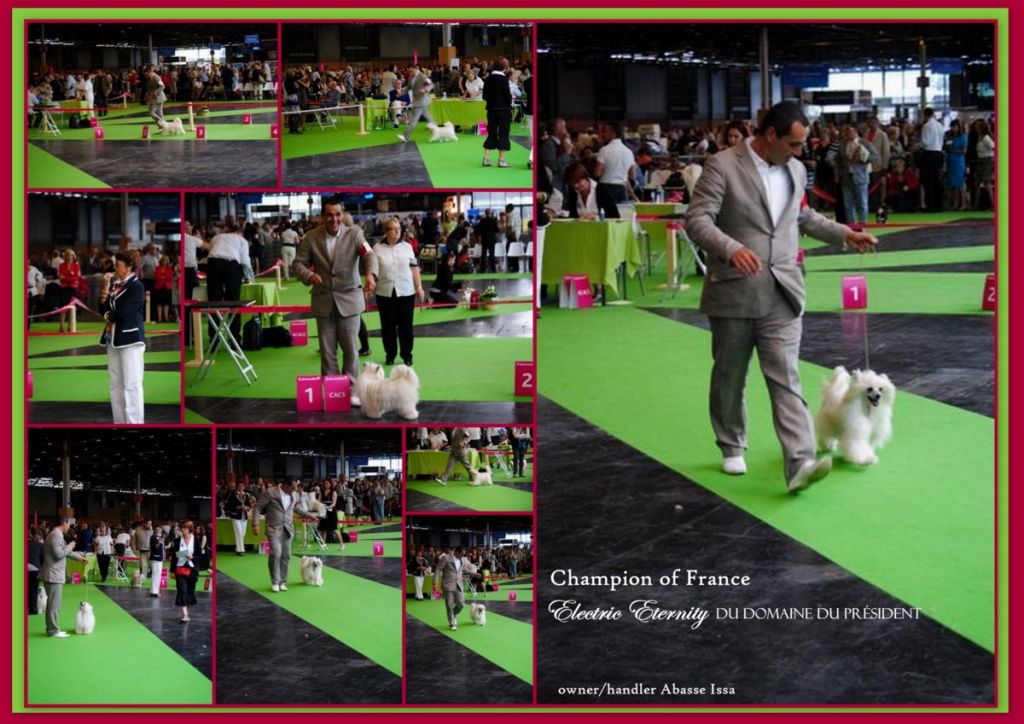 Electric Eternity du Domaine du Président