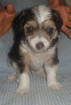 Oromuson Nomen Est Omen