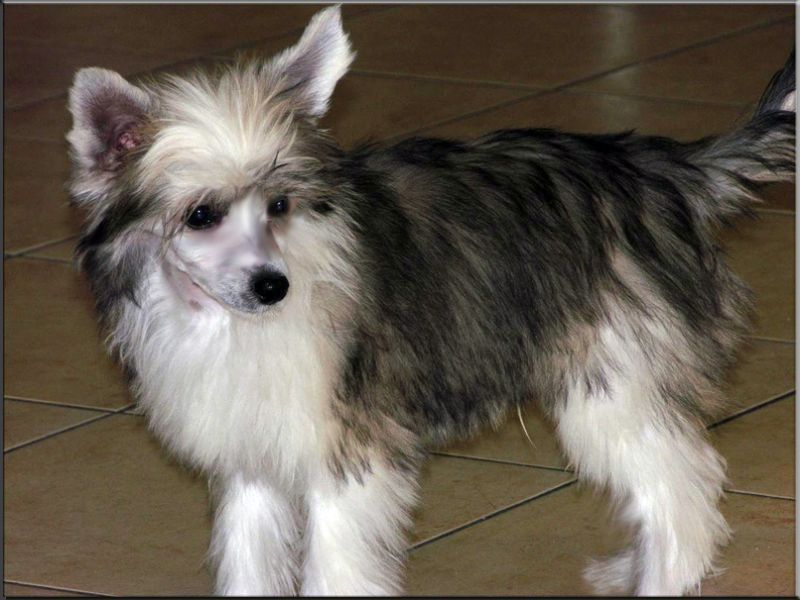 Fundoklia-Völgyi Kaszanics Christoforo