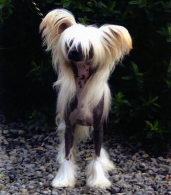 Habiba Somebody Slap Me 