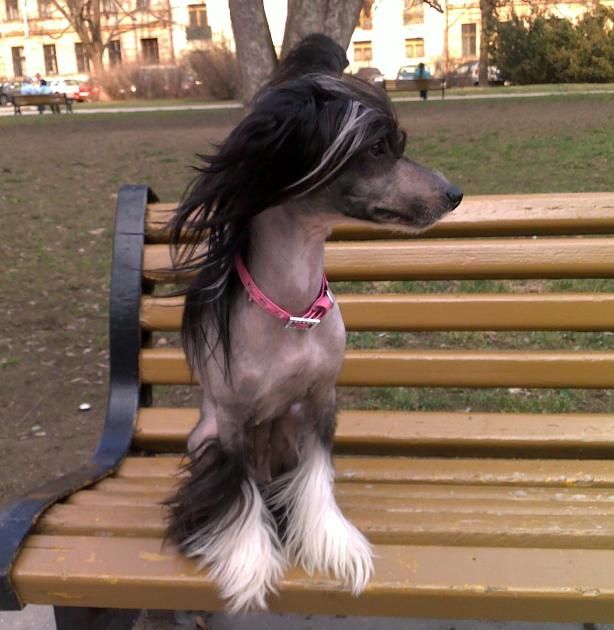 Nancy   z Kamilova dvora