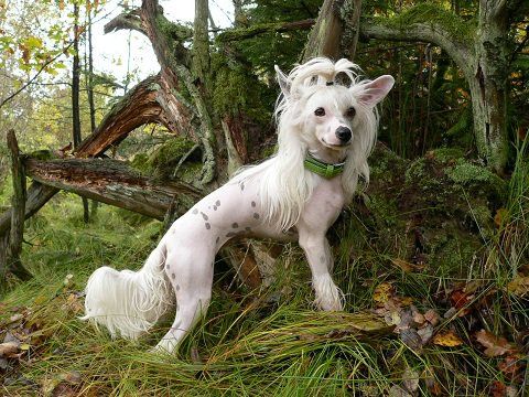 Noemi Fantasy Island