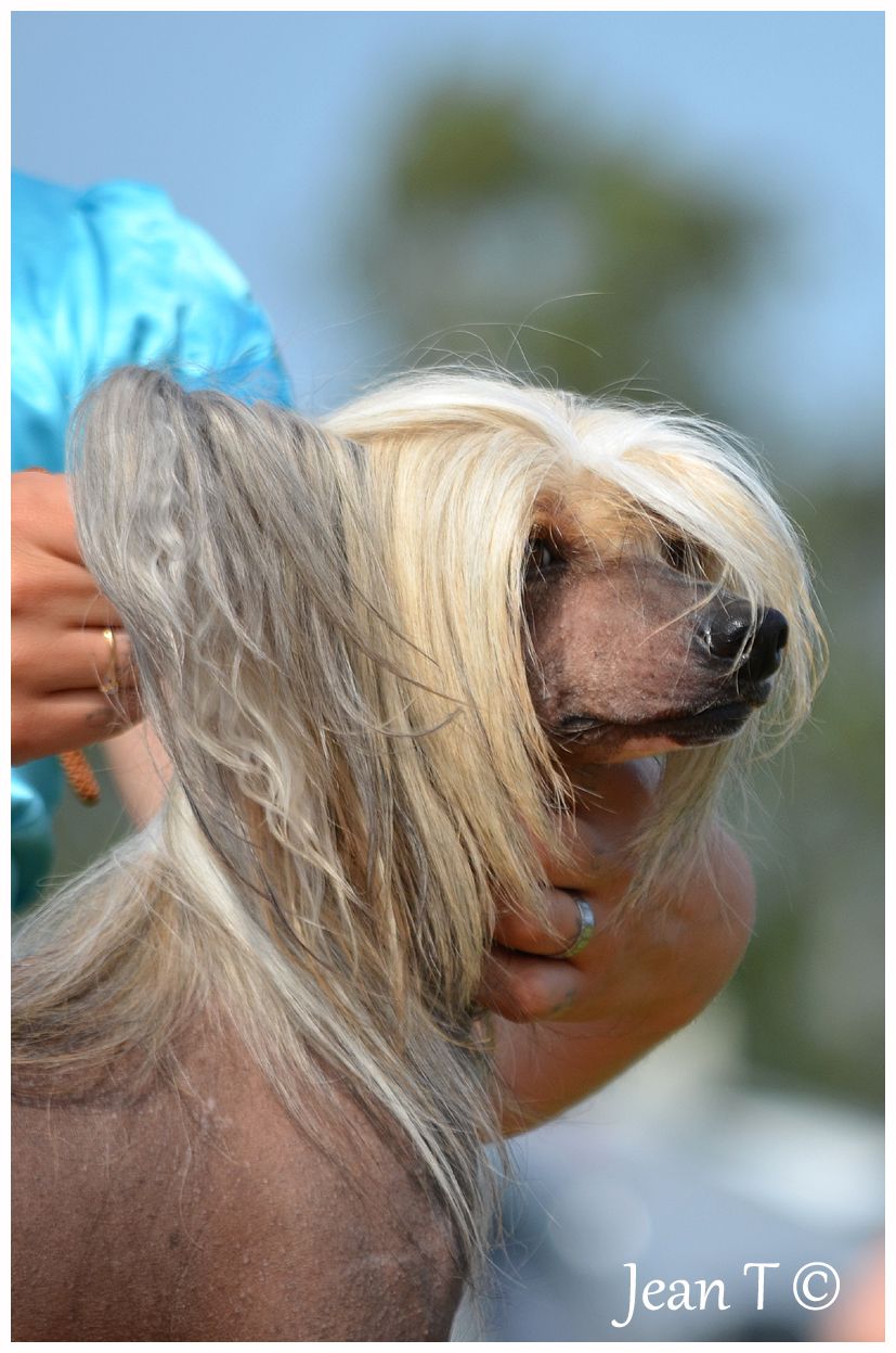 One And Only Fantasy Island