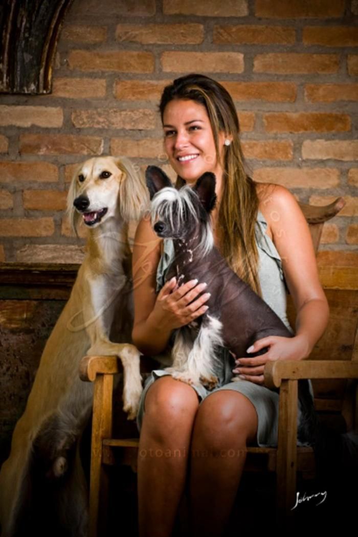 Olivera's Chronicles Of Narnia HL