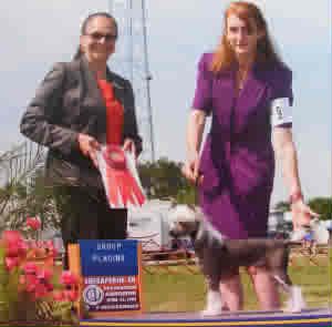 JRF'S Dragon in my Wagon