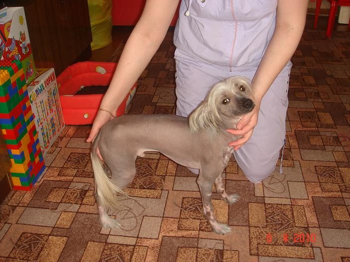 Akuna Matata