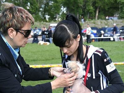 Nikol Universe of Love Ua