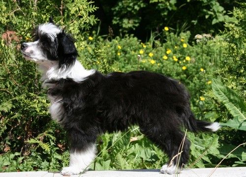 Maybell's Dream of Me