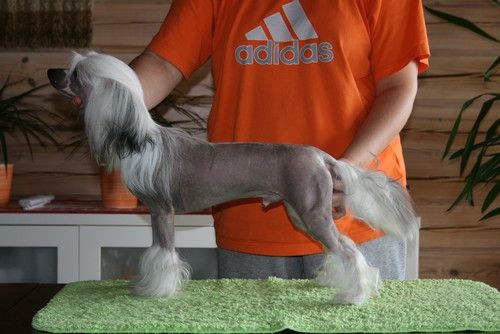 Maybell's Daddy's Dream