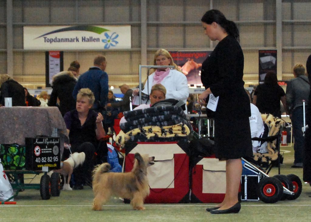 Of To Cool Crowd's ze Zatopene Chajdy