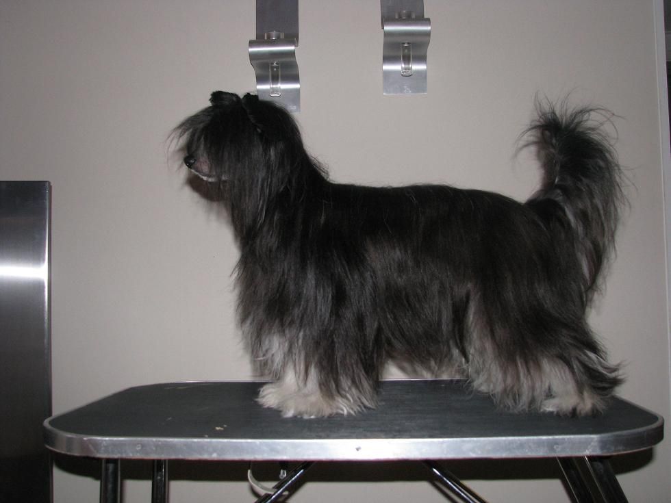 Lucky Line's Kool Surprise