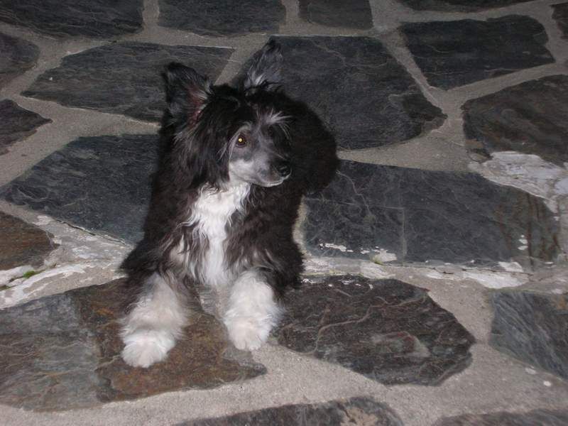 Eiko Du Coeur Des Tenebres