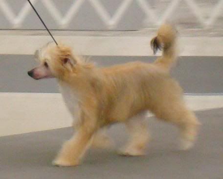 Delende First Train to London