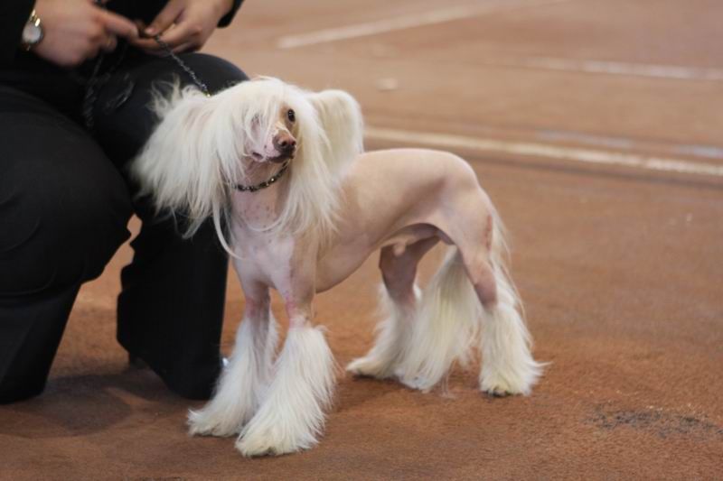 Tamerlan Beshtau Naby Vavilonskii Bog