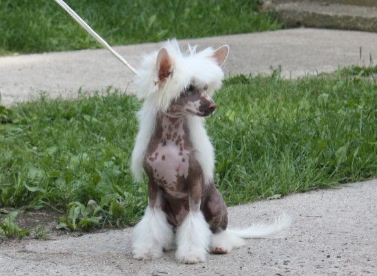 Honeymoon from Angels Fundation