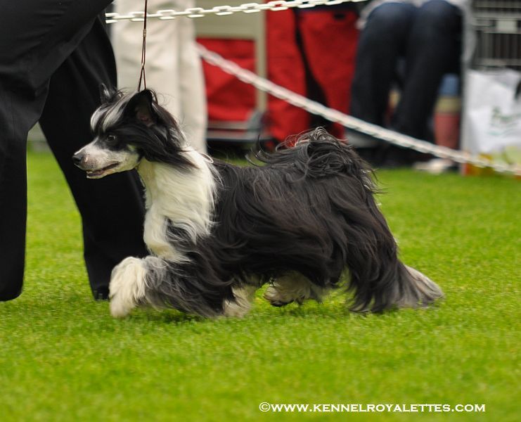 Aquacrest Editor's Choice