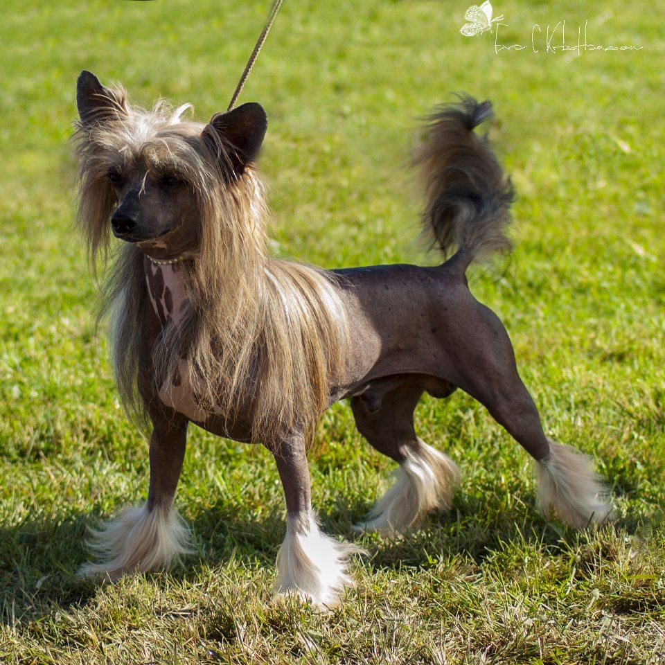 Parker ze Zatopene Chajdy