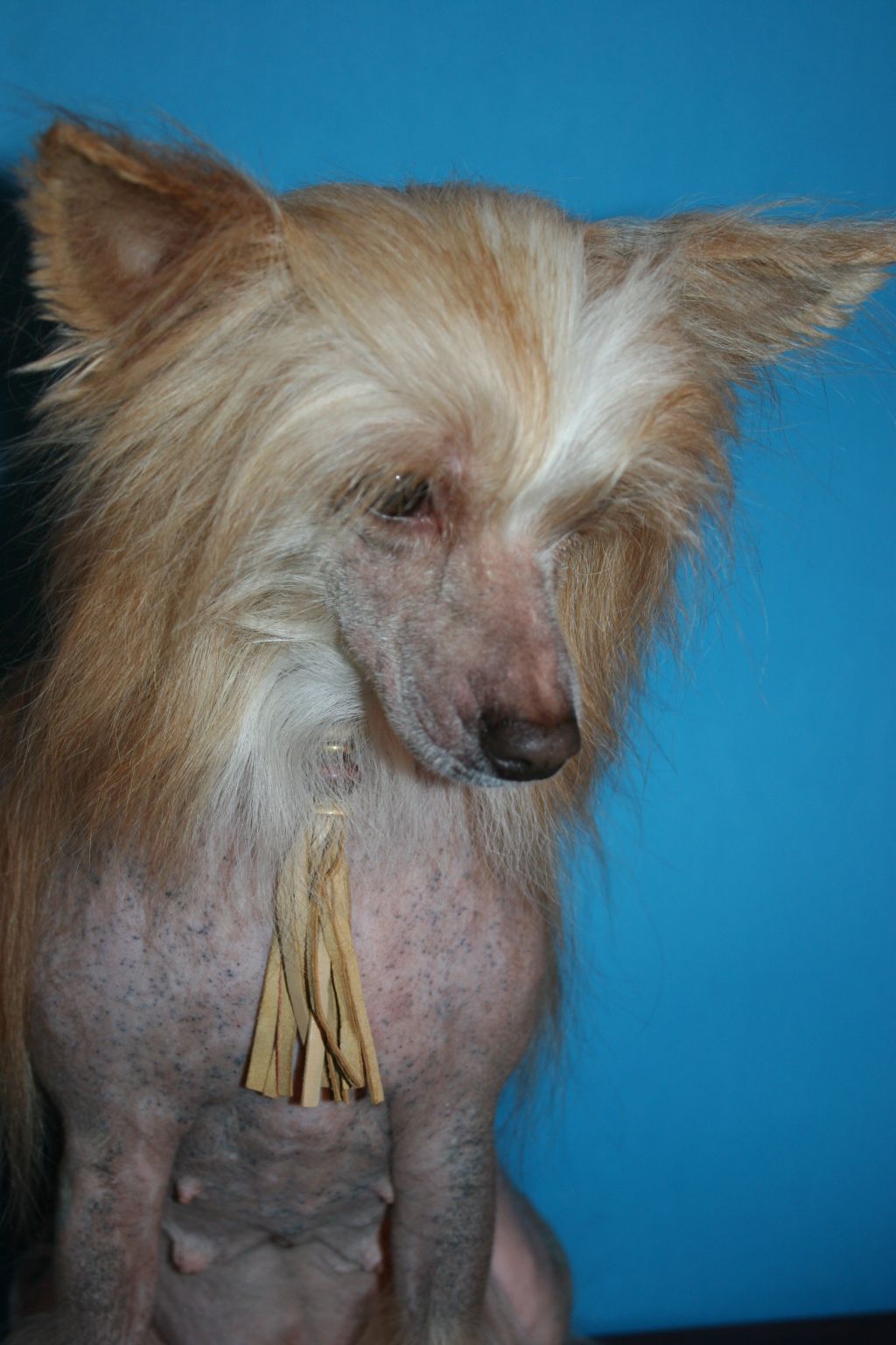 Provocation for de Fageiro